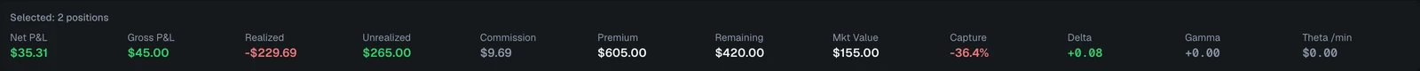 The totals strip for a filtered set of positions